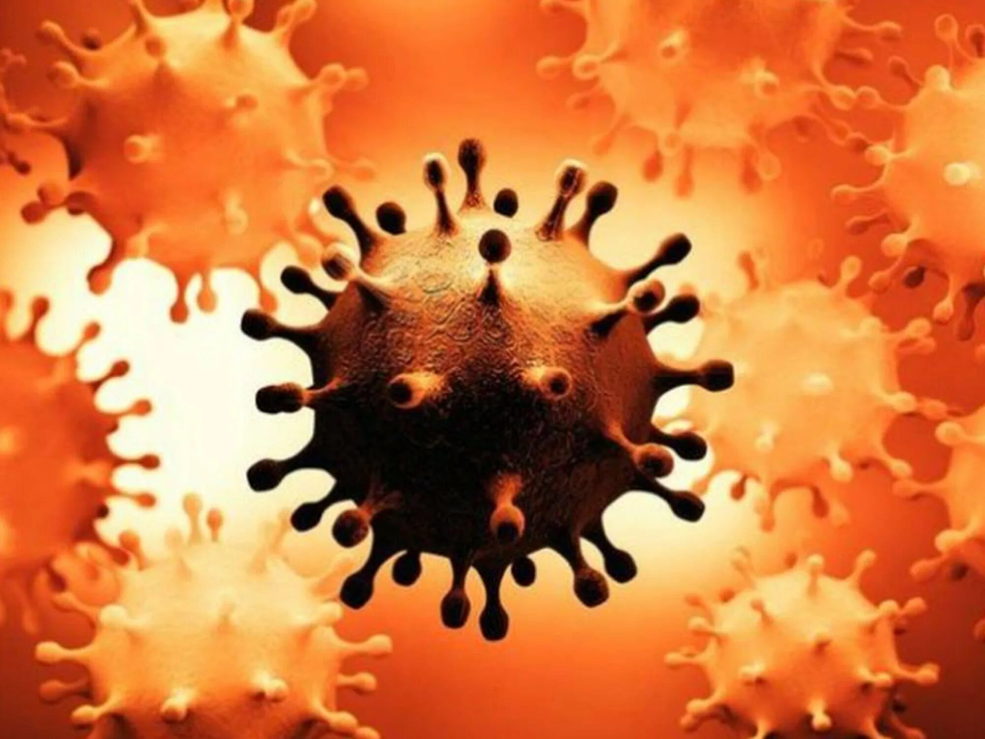 Много новых вирусов. Covid-19. Коронавирус. Коронавирус Сток. Коронавирус желтый.