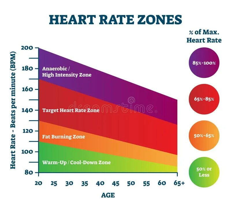 Зоны сердечного ритма. Heart rate zones. heart rate training zones. анаэробная зона сердечного ритма что это. зоны сердечного ритма при беге.