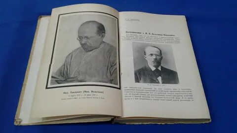 М павлович