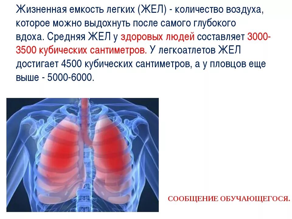 Жизненная емкость легких жел это. Жизнена ёмкость лёгких. Жизненная емкгсть лёгких. Жизненная ёмкость лекгих.