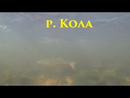 Река колю