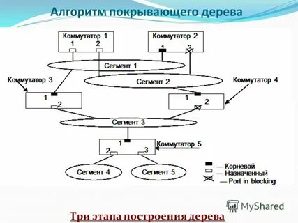 Сеть алгоритм