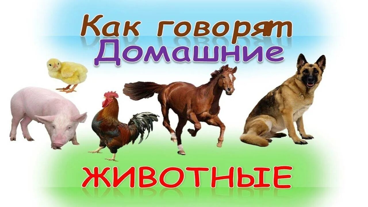 Голос зверей и птиц