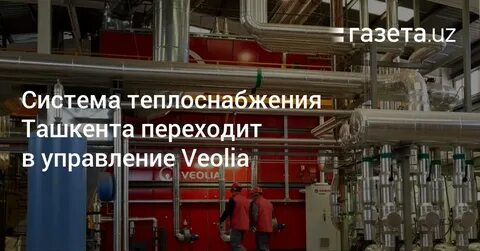 Viola energy tashkent