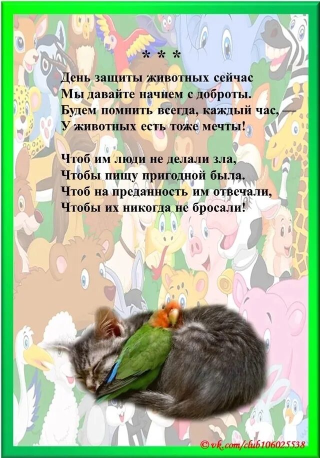 Пост про день защиты животных. День защиты животных. 4 октября день защиты животных. 4 октября всемирный день защиты животных. почему важно защищать животных.
