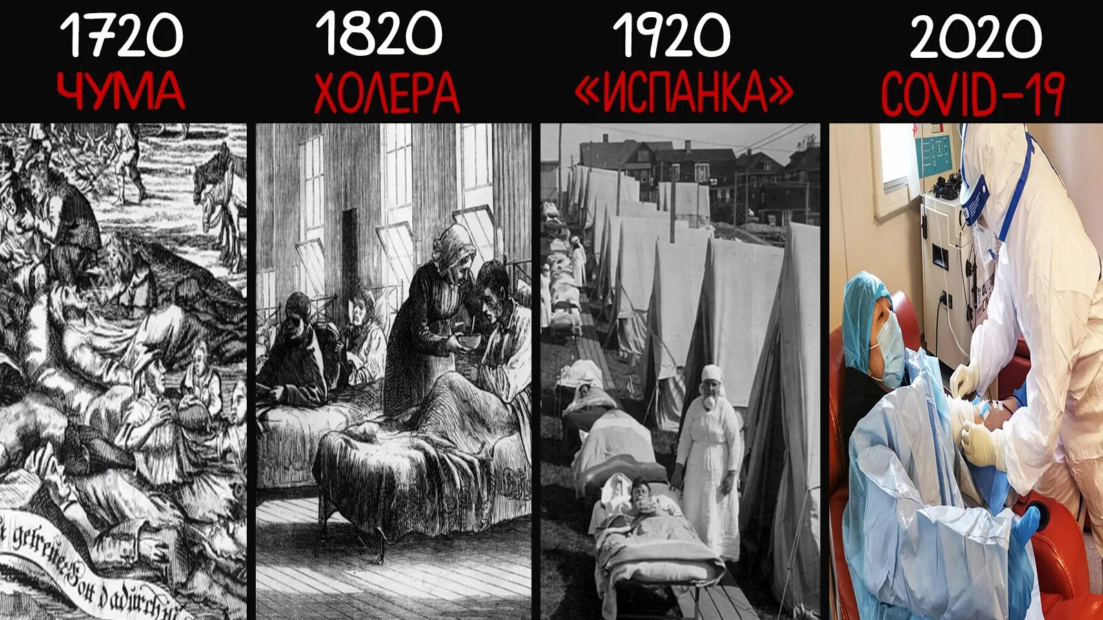 Чума коронавирус