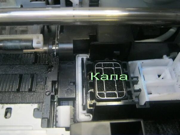 Где находится капы