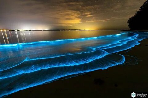 Можно морским светом