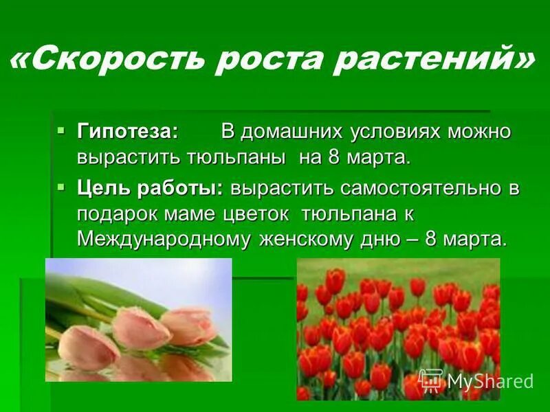 Работа цель на март