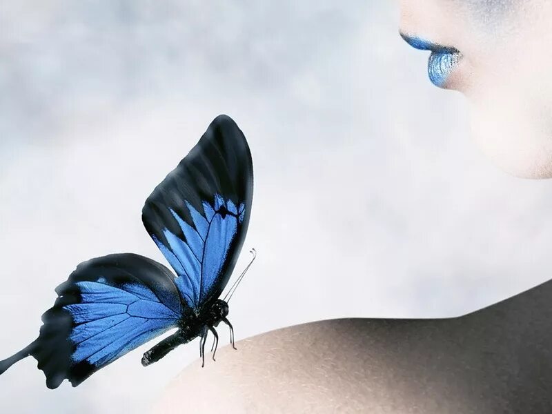 девочка с бабочкой. бабочка красивая на плече. бабочка на плечи. девушка-бабочка. бабочка на плече.
