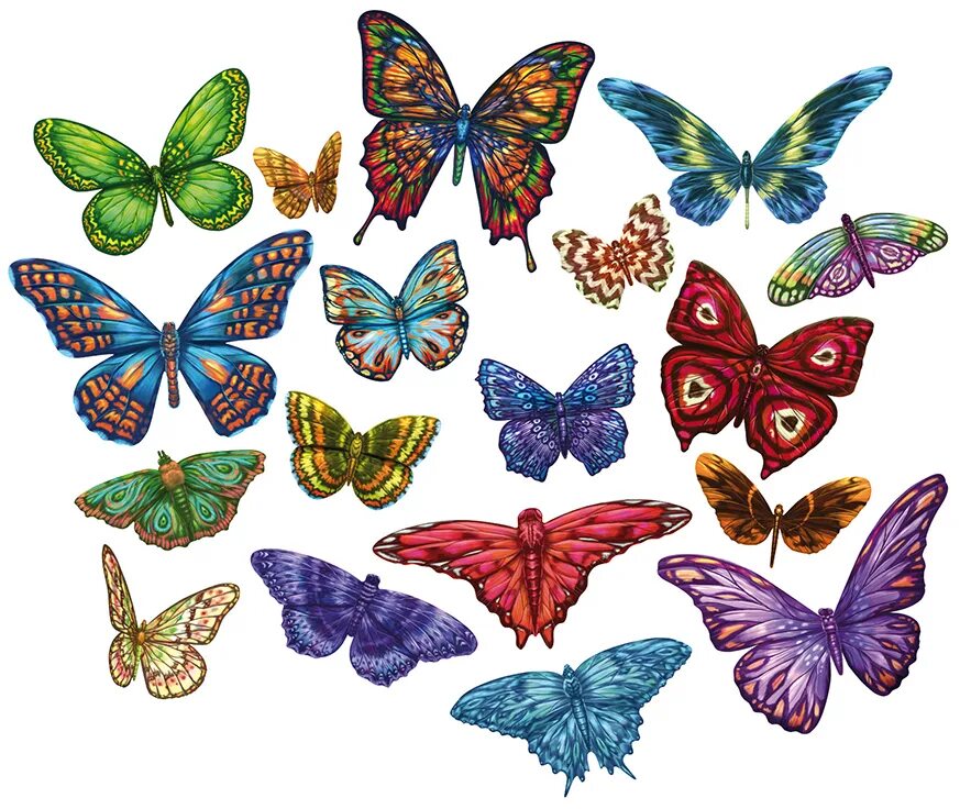 Разнообразие бабочек. Многообразие бабочек. Бабочки коллаж. Разнообразие бабочек для детей. Бабочки фотоколлаж.