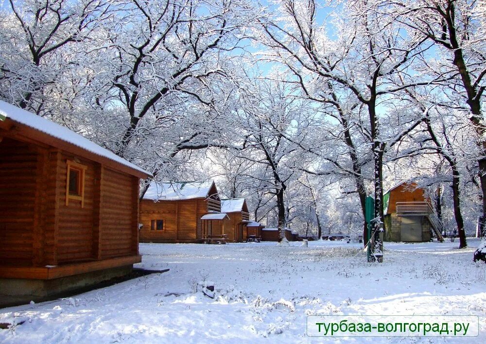 Зимний волгоград. Ерик верблюд волгоград. Зима в волгограде 2022. Ерик верблюд зимой. Хуторок база отдыха мостовской.