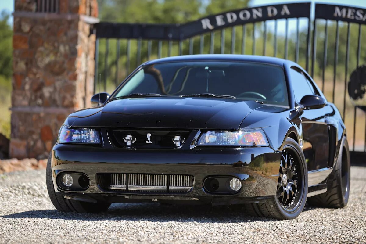 Mustang cobra. Ford Mustang SVT Cobra 2003. Ford Mustang Cobra. Ford Mustang Cobra Terminator. Mustang Cobra SVT.