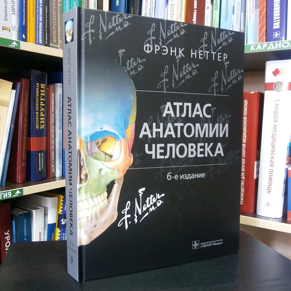 Фрэнк Неттер атлас анатомии. Атлас анатомии человека Фрэнк Неттер 7 издание. Атлас по анатомии Фрэнка Неттера 7 издание. Фрэнк Неттер атлас анатомии человека 6 издание.