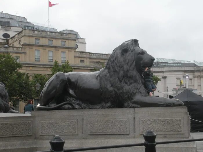 Бронзовые львы Трафальгарская площадь. Лондонский Лев. Колонна Нельсона львы. Здание Британия львы.