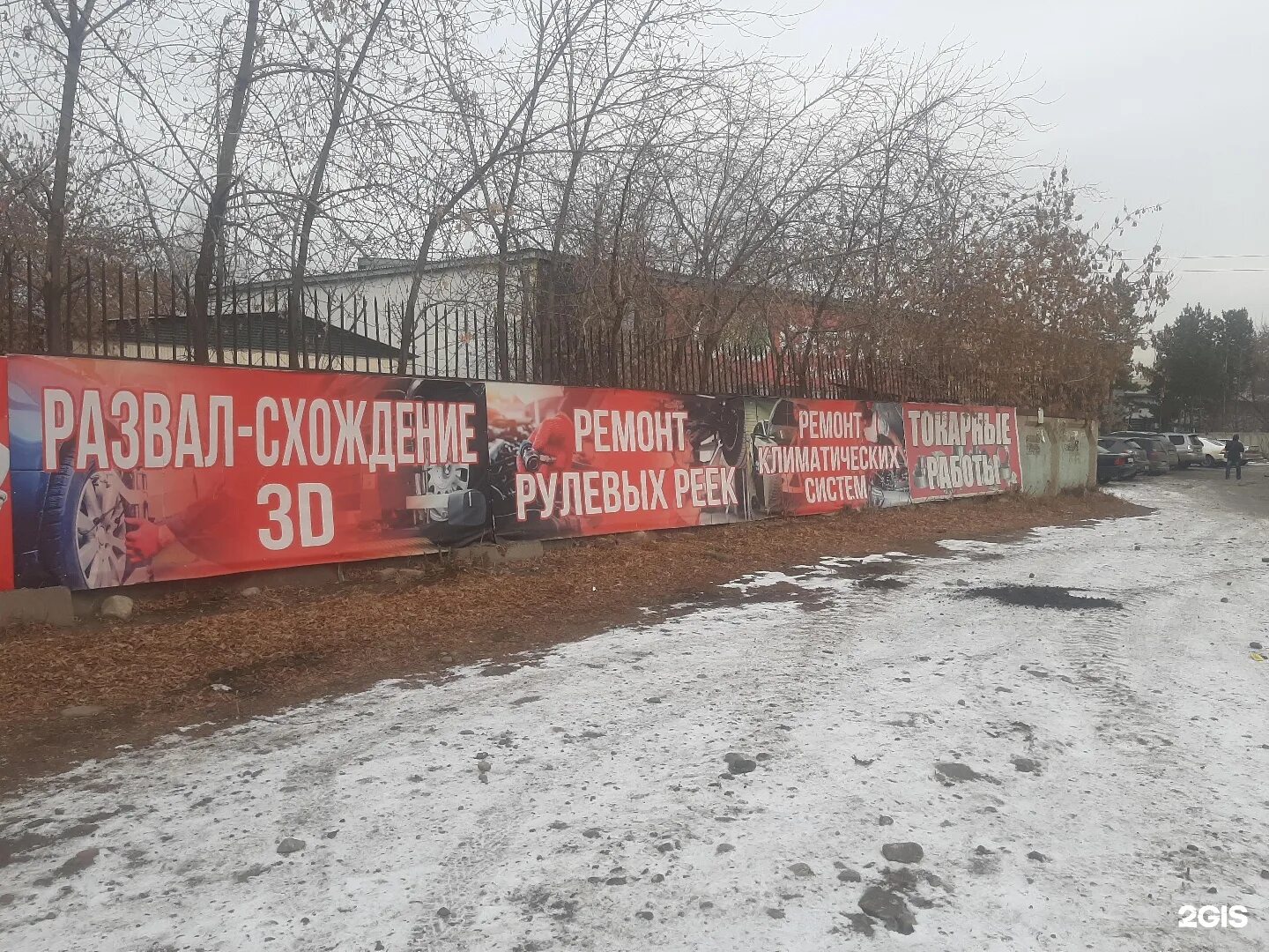Иркутск розы люксембург 182. Розы Люксембург 182 Иркутск. Розы Люксембург 182.