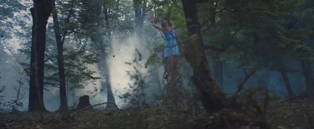 The woods swift. The woods swift