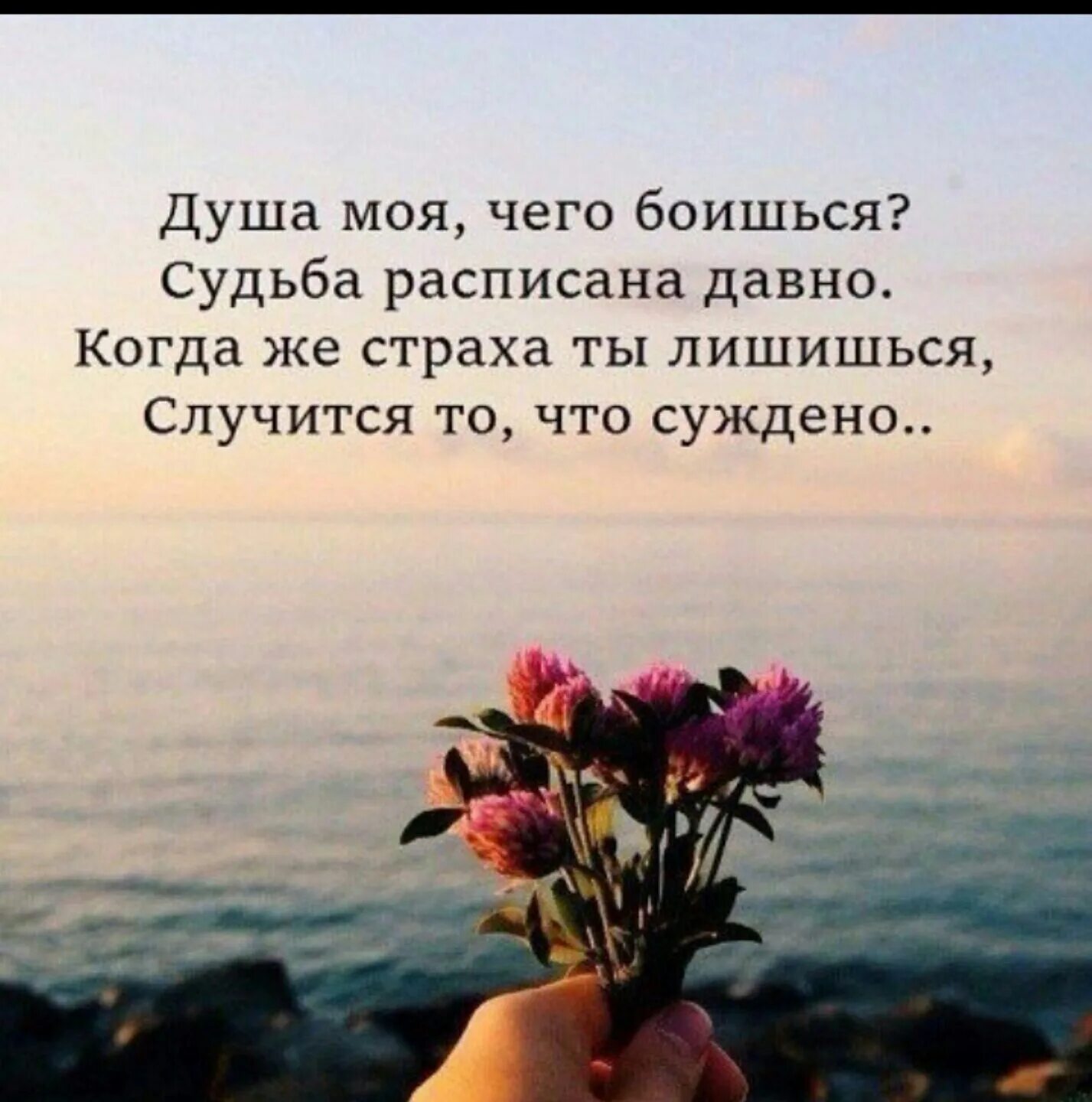 Красивые фразы девушке умные
