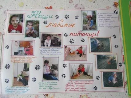 Фотовыставка мой любимый питомец
