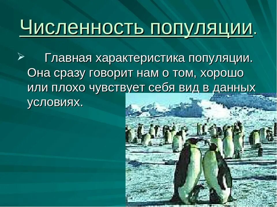 Термин численность популяции. Характеристики популяции. характеристики популяции биология. характеристика популяции численность. популяция характеристика популяции.