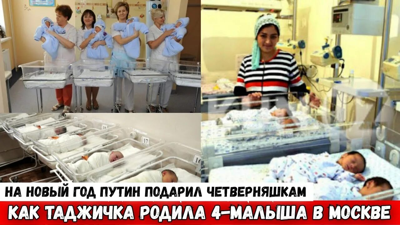 Таджичка родила 4 ребенка в Москве. Четверо детей родилось в Москве. Четверняшки в москве 2024