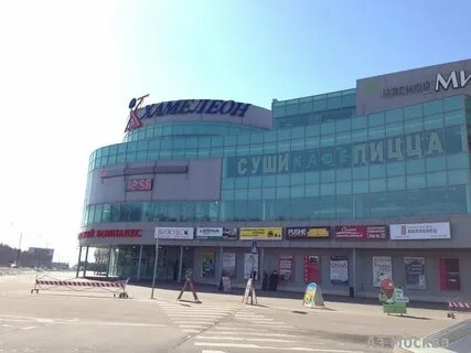 Тц хамелеон