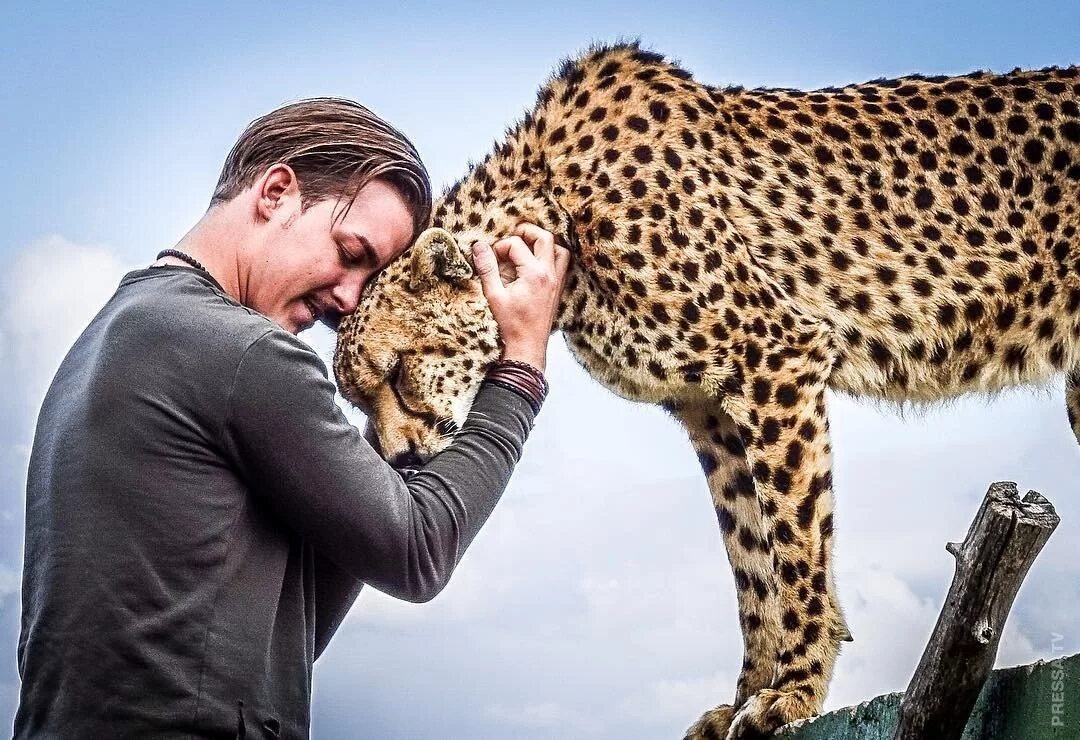 Protect the wild