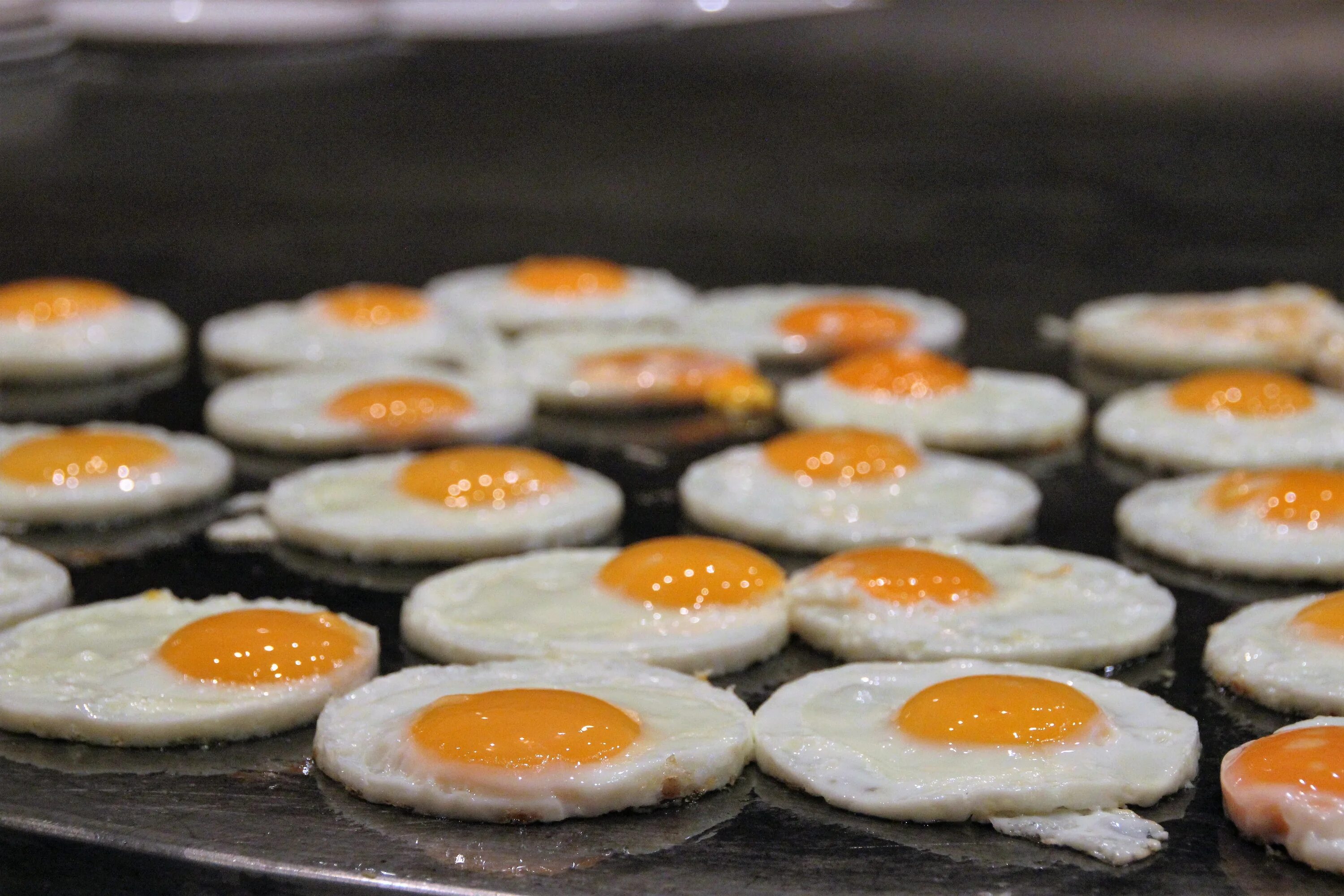 Eggs up. 5 Яиц. Санни Сайд ап яичница. Яичница на шведском столе. Надоела яичница.