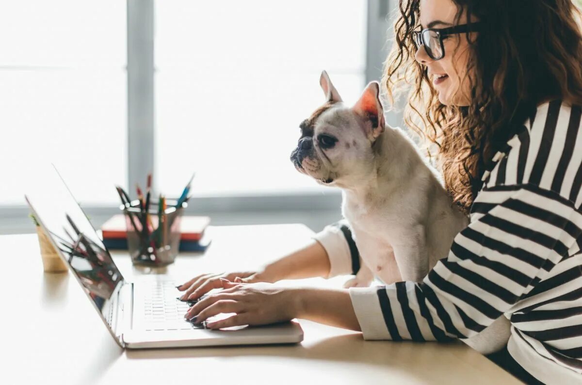Собака за ноутом. Животные в офисе. Работа быть собакой. Ты опять на работе. Девушка с ноутбуком и собака.