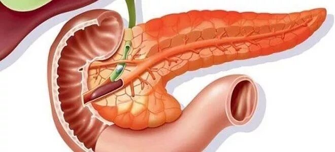 Диффузные заболевания поджелудочной железы. Реактивная панкреатопатия. чистка поджелудочной железы.