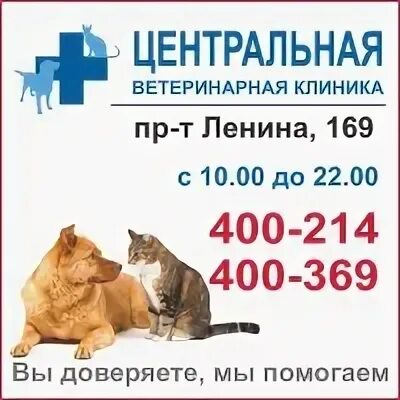 Велес обнинск ветклиника. Ветклиника центральная томск ленина 169. Рыжий лис ветклиника томск. Лазо 4/1 томск. Ветклиника центральная томск ленина 169.