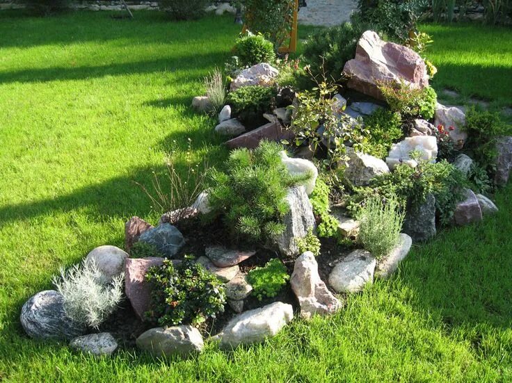 Альпийская горка своими руками Rock garden landscaping, Rockery garden, Landscap