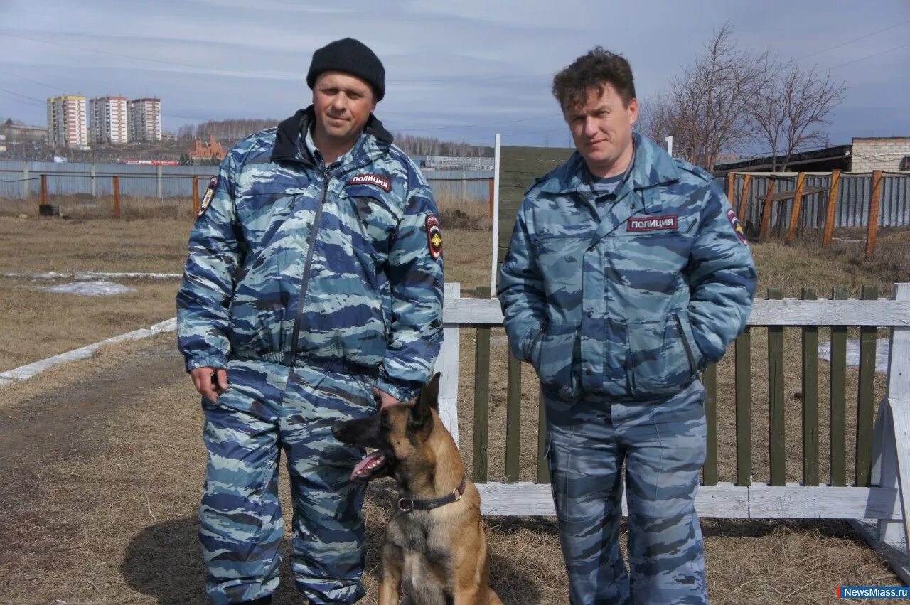 Немецкая овчарка на службе фсин. Полицейский кинолог. Клуб собаководов в миассе машгородок. Кинологическая служба вакансии. Полищук трофименко кинология.