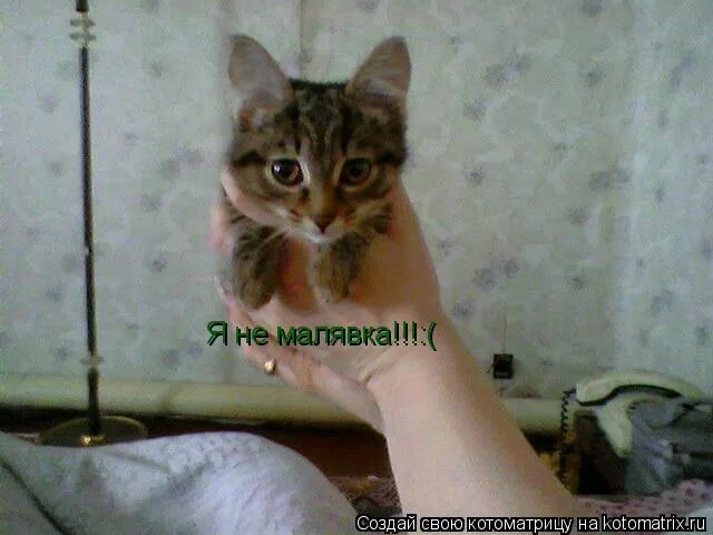 Картинки когда все бесит. "да или нет?". Малявка мем. Географичка злая мем. Картинки когда всё бесит и раздражает.