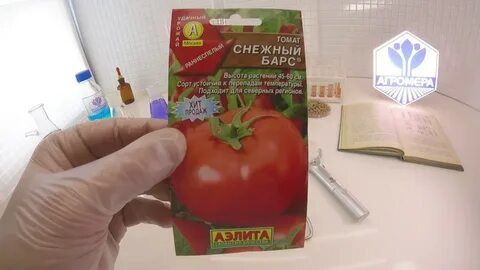 Томаты снегопад описание сорта