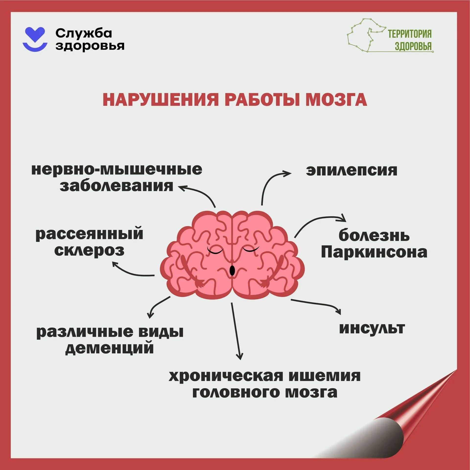 Неделя здоровья головного мозга. Забота о мозге. Профилактика заболеваний мозга. Неделя сохранения здоровья. Неделя здоровья головного мозга.