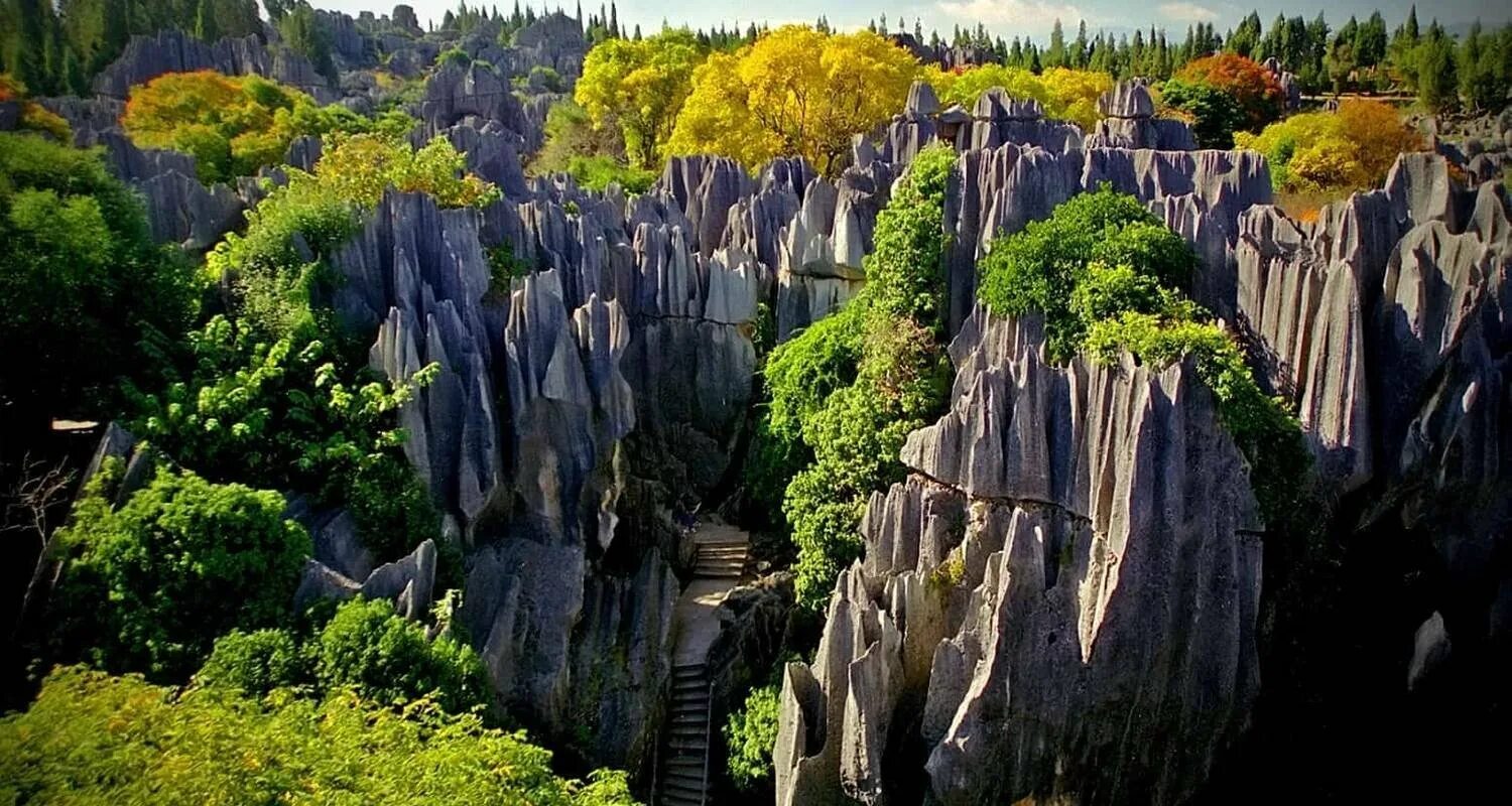 Каменный лес Шилинь Китай. Национальный парк Шилинь (каменный лес). Каменный лес Шилинь (Shilin), Китай. Китай национальный парк Шилинь. Интересные места природа