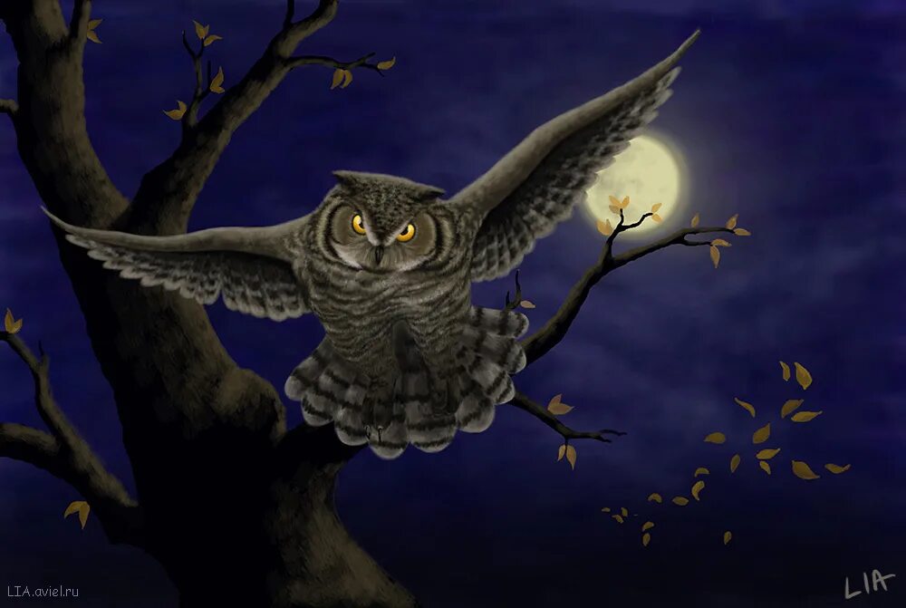 Ночной полет сов. Лиа селина художник-иллюстратор сова. ночная сова.(night owl).1993. сова в ночном лесу. ночные птицы.
