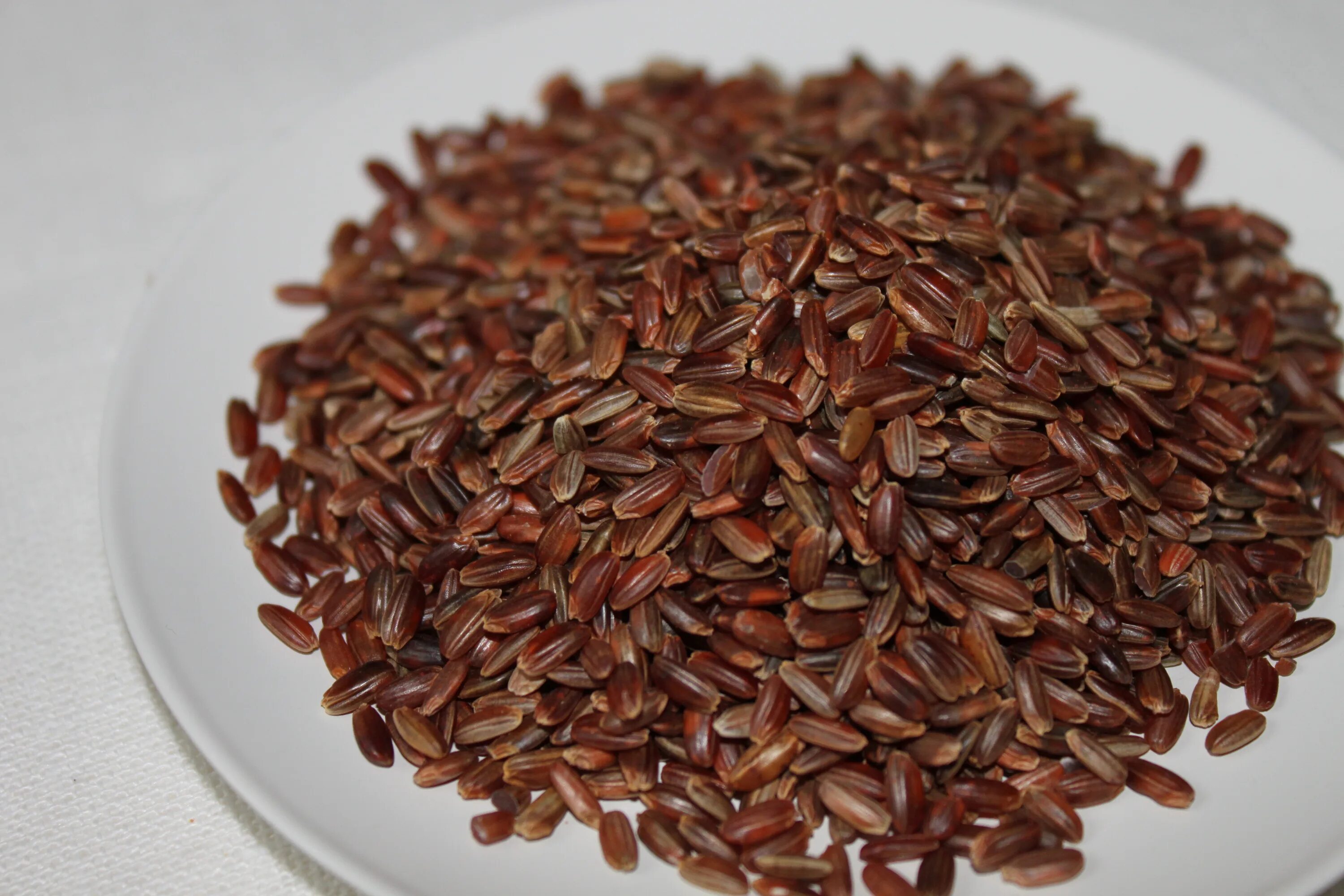 Red rice. Voyay Red Rice. Камарг рис. Red Rice l2m значок.