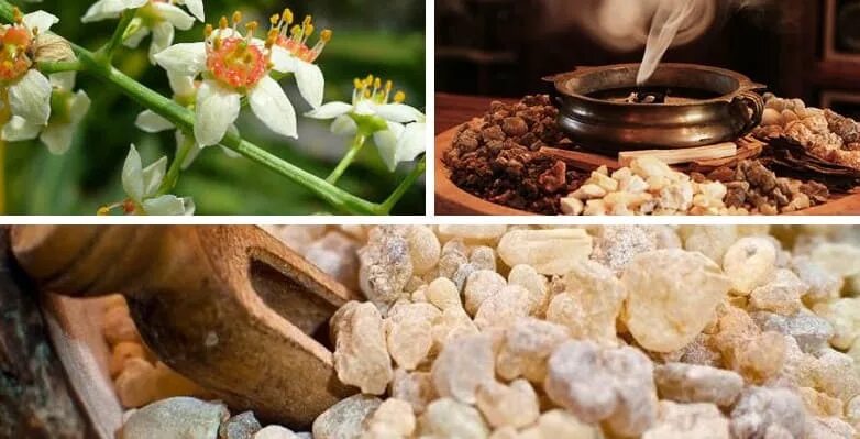Ладан аромамасла. Ладан doterra. Frankincense essential oil. Ладан. Ладан магические свойства.