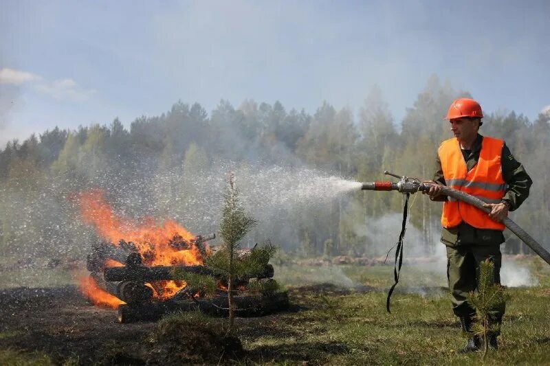 лесные пожары в сибири 2019. лесные пожарные. пожарные тушат лес. тушение леса. тушение крупных лесных пожаров.