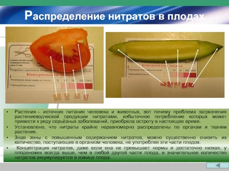 Состав е ю. Значение пищи и ее состав. презентация по биологии 8 класс значение пищи и ее состав. значение пищи и ее состав конспект. значение пищи и ее состав 8 класс биология.