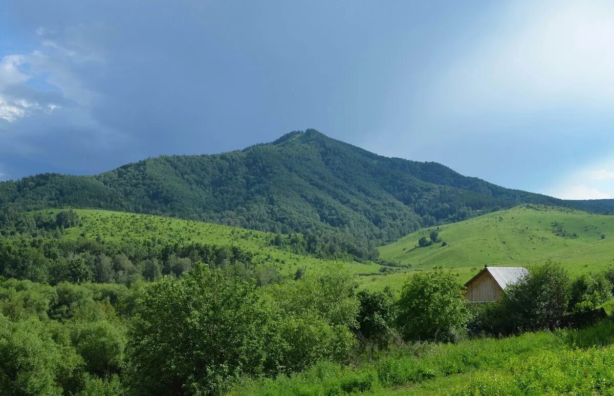 Белокуриха Алтай горы. Гора Церковка в Белокурихе. Село Белокуриха Алтайский край. Белокуриха природа.