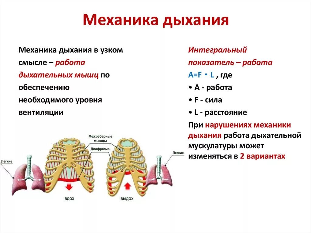 Вдох выдох таблица