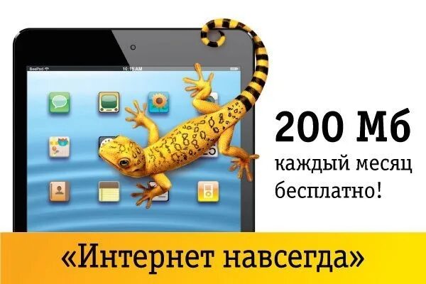 Интернет навсегда билайн. Интернет навсегда. бесплатный интернет навсегда. билайн интернет 200 мбс. бесплатный интернет навсегда мгфне.