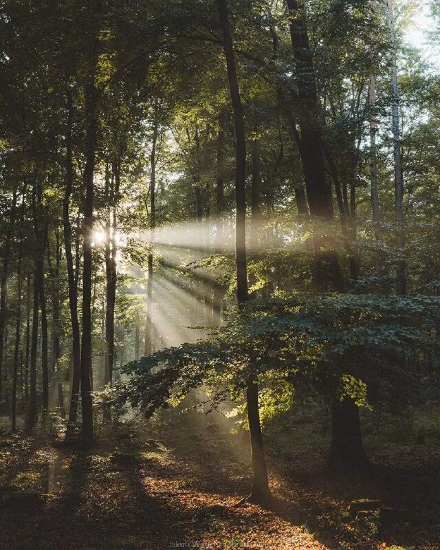 сентябрь граница. очередь на границе с казахстаном. сентябрь граница. границы россии. очередь на грузинской границе.
