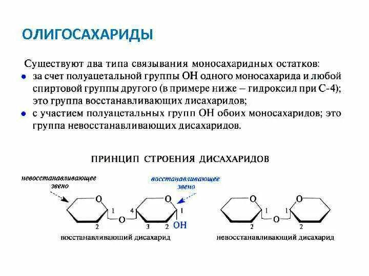 Строение и свойства углеводов. Общая характеристика олигосахаридов. строение олигосахаридов. принцип строения олигосахаридов. структура олигосахаридов.