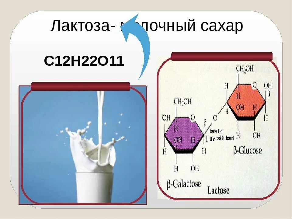 Лактоза применение. Лактоза. Молоко лактоза. Лактоза молочный сахар. Лактоза вещество.