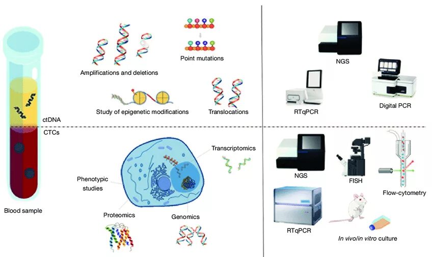 Ngs. NGS (next Generation sequencing). NGS В онкологии. Метод NGS. Метод NGS В онкологии.