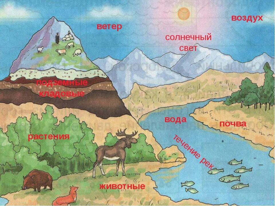 Богатство земли богатство страны. Богатства природы. Рисунок на тему природные богатства. Богатство природы рисунок. Природа природные богатства.